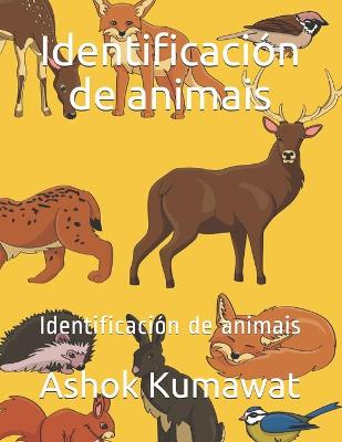 Book cover for Identificacion de animais