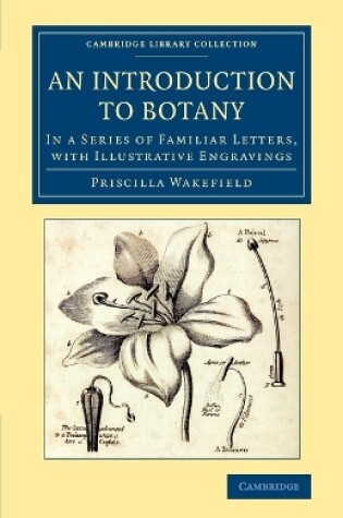 Cover of An Introduction to Botany