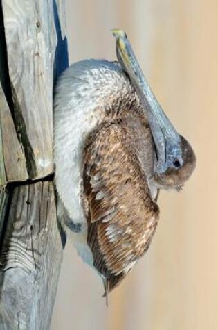 Cover of A Pelican Perched on a Fence in Florida, Birds of the World