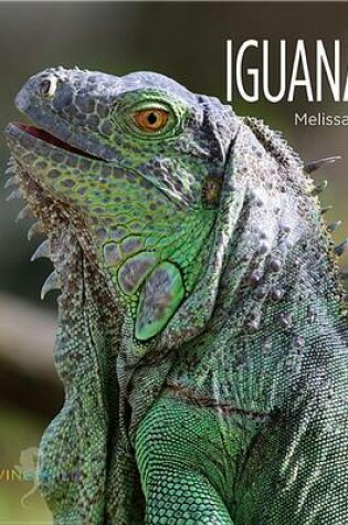 Cover of Iguanas