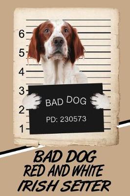 Book cover for Bad Dog Red and White Irish Setter