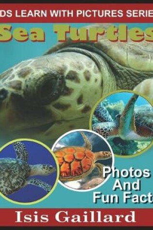 Cover of Sea Turtles