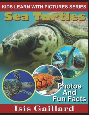 Book cover for Sea Turtles