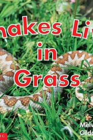 Cover of Snakes Live in Grass