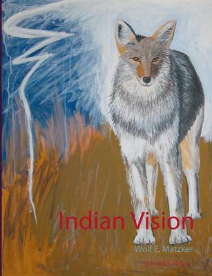 Book cover for Indian Vision