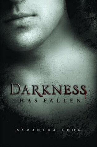 Cover of Darkness Has Fallen