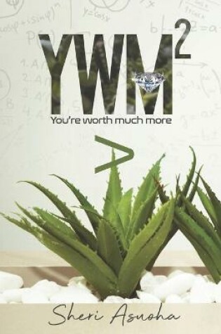 Cover of Ywm2