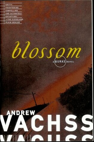 Cover of Blossom