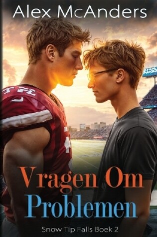 Cover of Vragen om Problemen