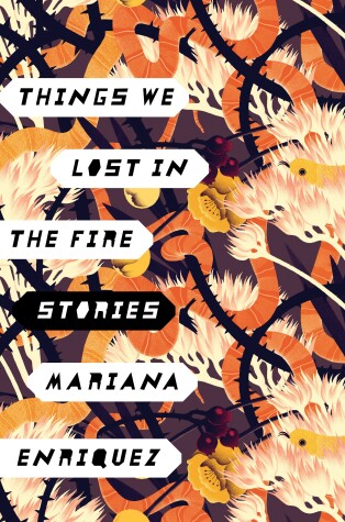 Book cover for Things We Lost in the Fire