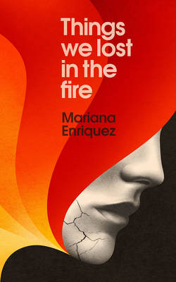 Book cover for Things We Lost in the Fire