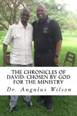 Book cover for The Chronicles of David
