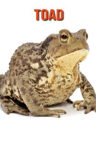 Cover of Toad