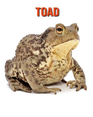 Book cover for Toad