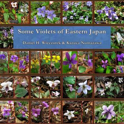 Book cover for Some Violets of Eastern Japan