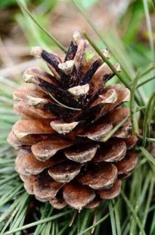 Cover of A Pine Cone on the Tree Journal