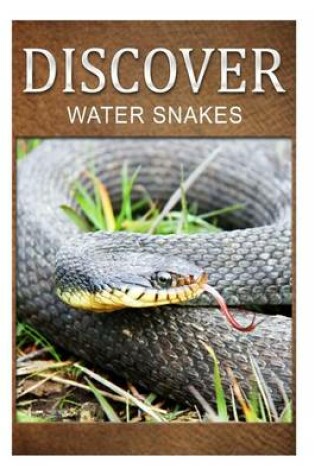 Cover of Water Snake - Discover