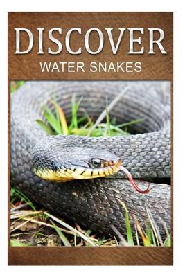 Book cover for Water Snake - Discover