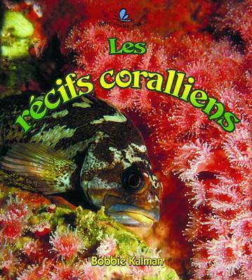 Book cover for Les Récifs Coralliens (Coral Reef Food Chains)