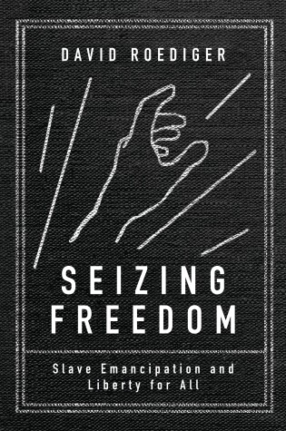 Cover of Seizing Freedom