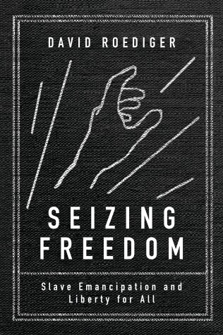 Book cover for Seizing Freedom