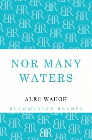 Cover of Nor Many Waters