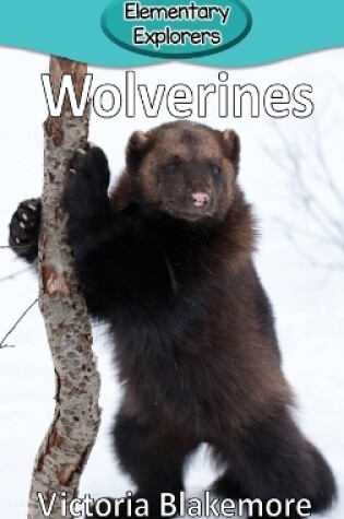 Cover of Wolverines