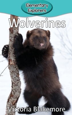 Cover of Wolverines