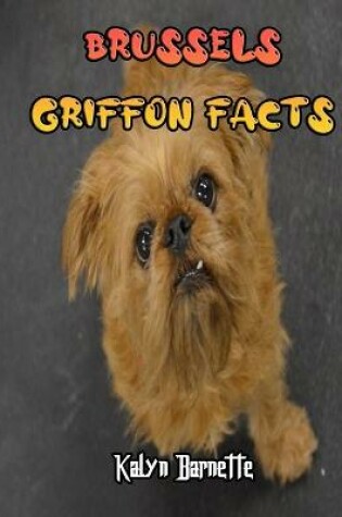 Cover of Brussels Griffon Facts