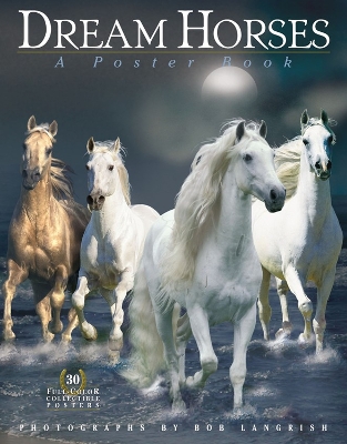 Cover of Dream Horses: A Poster Book