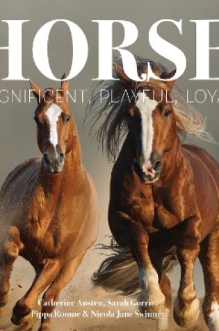 Cover of Horse