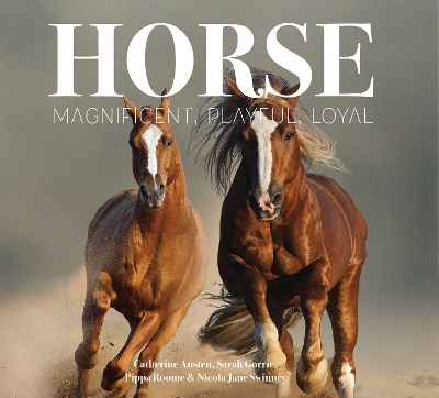 Cover of Horse