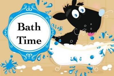 Cover of Bath Time