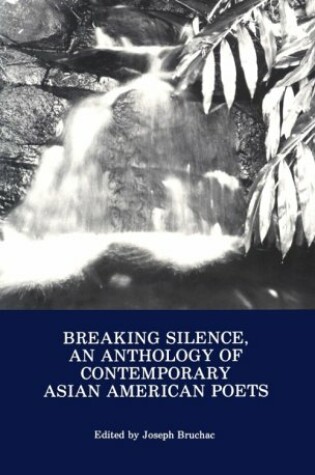 Cover of Breaking Silence