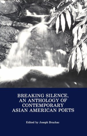 Book cover for Breaking Silence