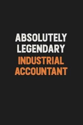 Cover of Absolutely Legendary Industrial Accountant