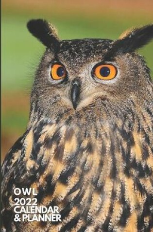 Cover of Owl
