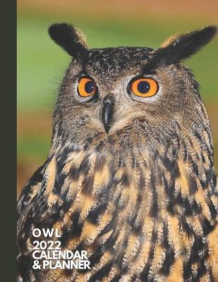 Book cover for Owl