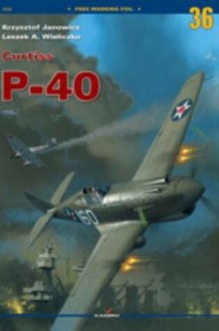 Cover of Curtiss P-40 Vol. I