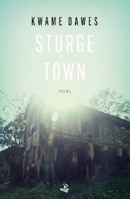 Book cover for Sturge Town