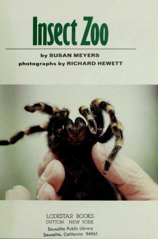 Cover of Meyers & Hewett : Insect Zoo (Hbk)