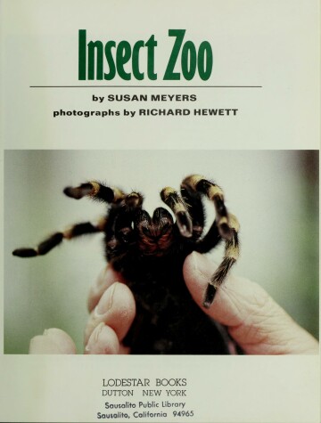 Book cover for Meyers & Hewett : Insect Zoo (Hbk)