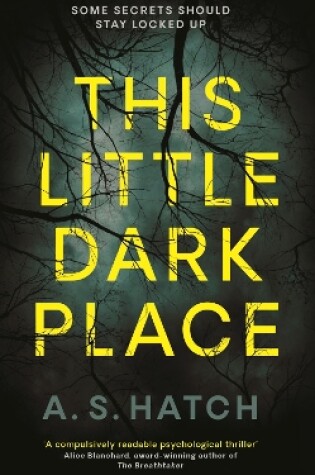 Cover of This Little Dark Place