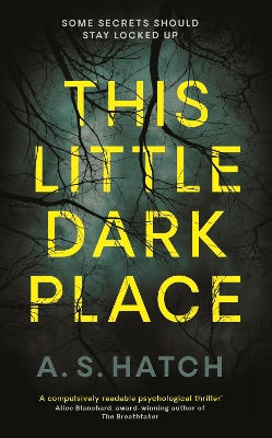 Book cover for This Little Dark Place