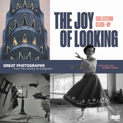Cover of The Joy of Looking