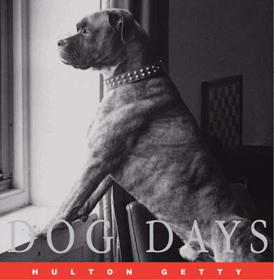 Book cover for Hulton Getty Picture Library: Dogdays