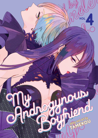 Book cover for My Androgynous Boyfriend Vol. 4