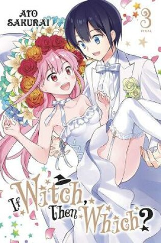Cover of If Witch, Then Which?, Vol. 3