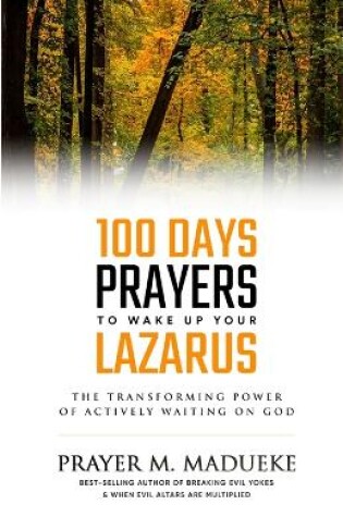 Cover of 100 Days Prayers to Wake Up Your Lazarus