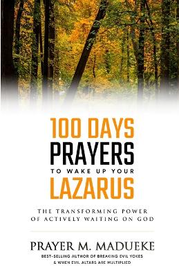 Book cover for 100 Days Prayers to Wake Up Your Lazarus